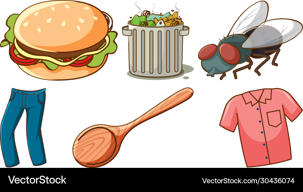 Large set different animals and other objects Large set different animals and other objects vector image