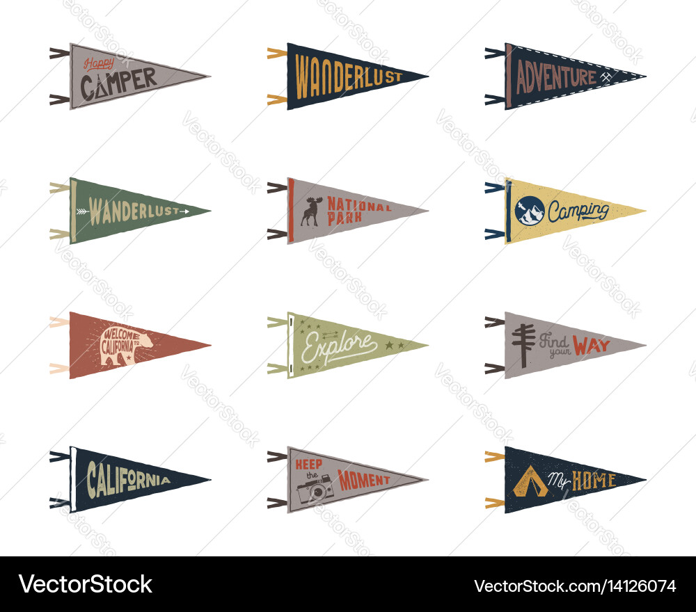Retro Adventure Pennants vector image