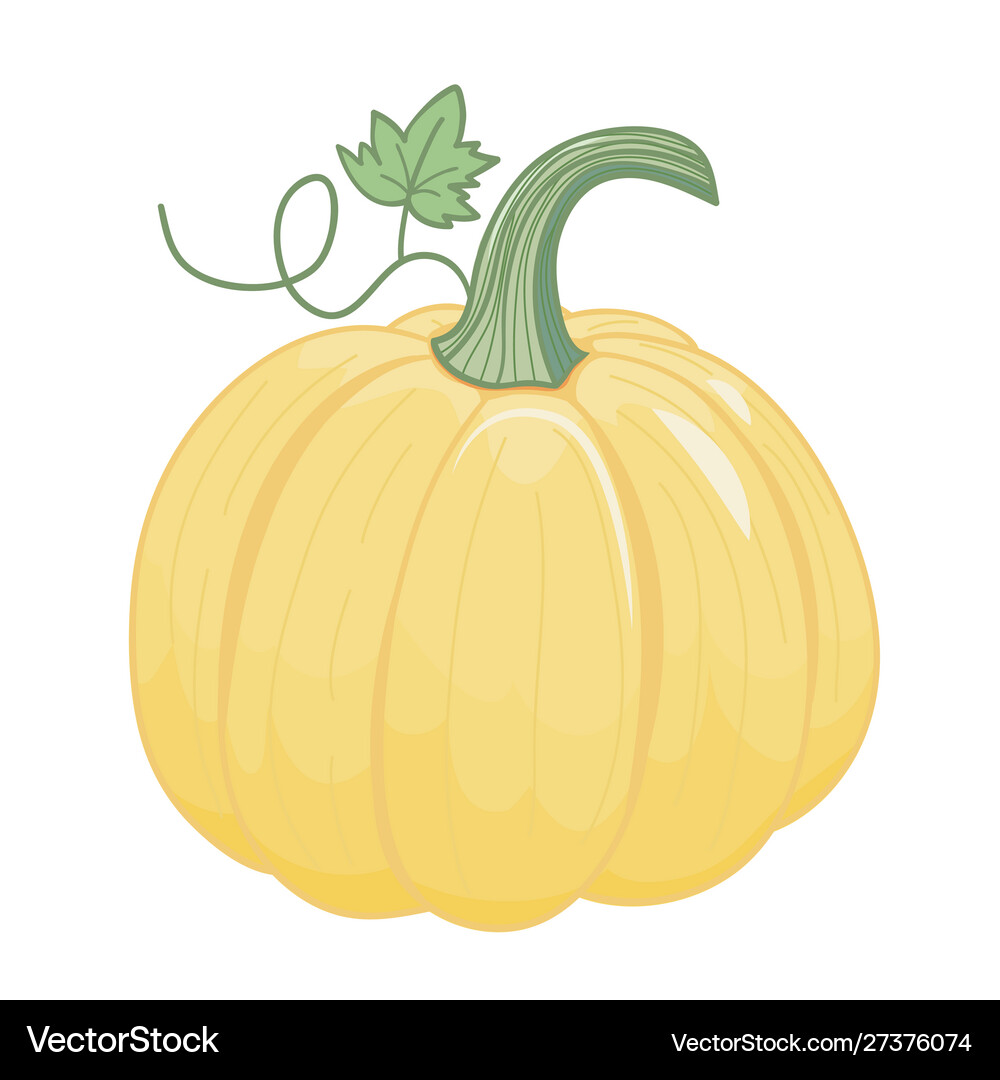 17 Pumpkin Clipart Images: (Halloween - Fall)! - The Graphics Fairy, image size:1000x1080
