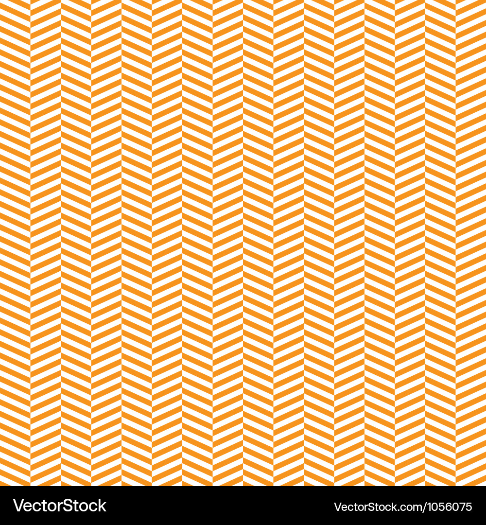 Chevron Zigzag Pattern vector image