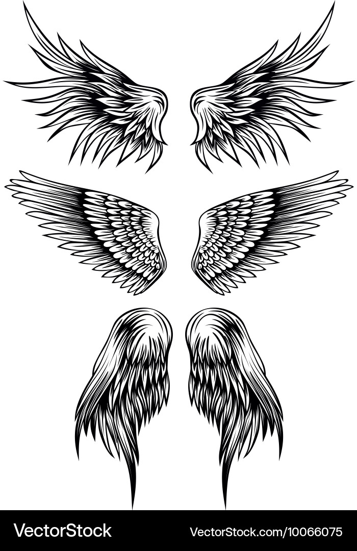 Wings set 7 Royalty Free Vector Image - VectorStock