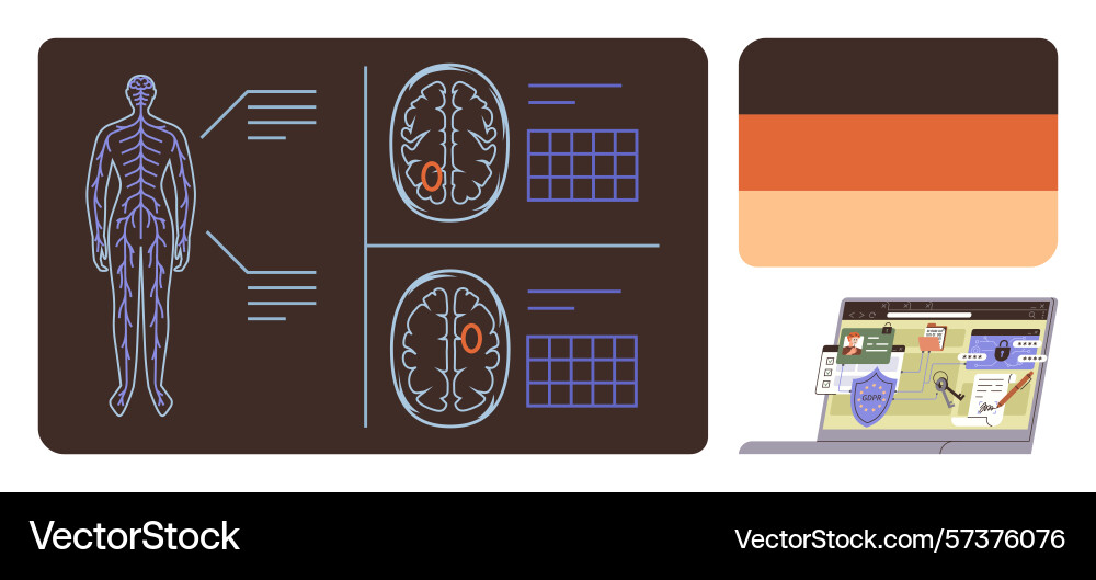 Digital brain scan analysis and cybersecurity Digital brain scan analysis and cybersecurity vector image