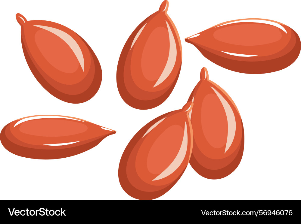 Flax seeds cascading and rotating against a clean Flax seeds cascading and rotating against a clean Vector Image