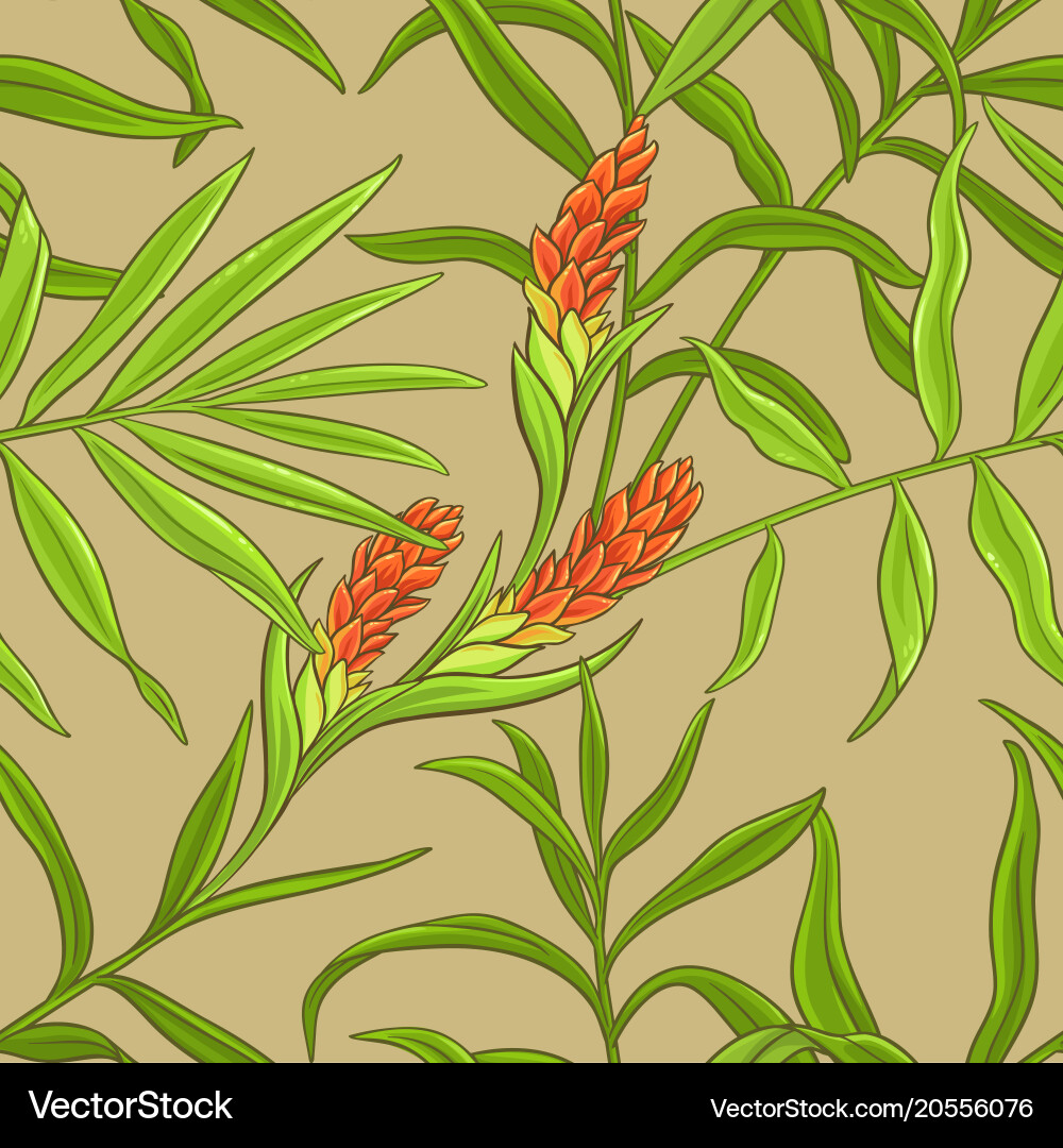 Ginger Branch Pattern vector image