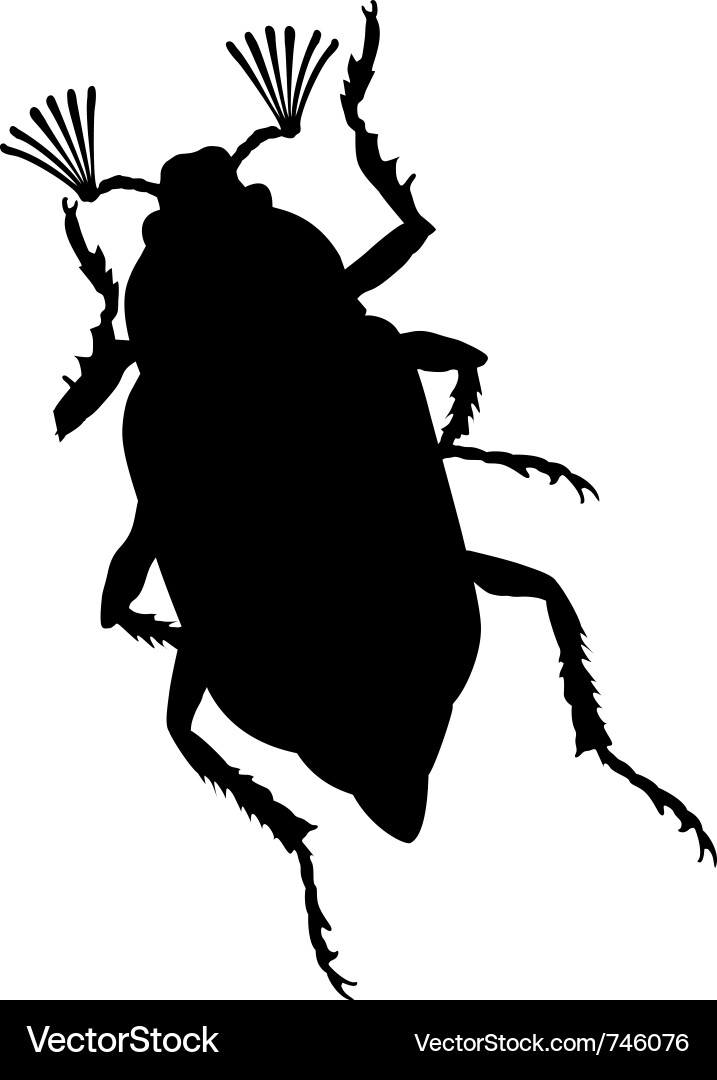 Maybug Silhouette vector image