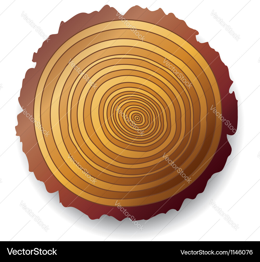 Wooden Tree Cross-Section vector image