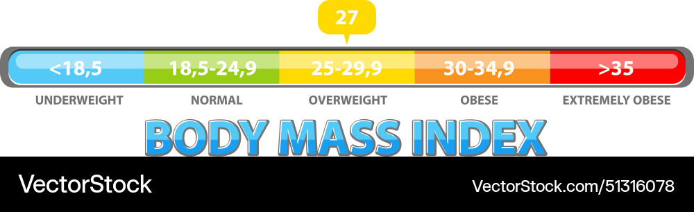Color-coded bmi scale with weight categories Vector Image