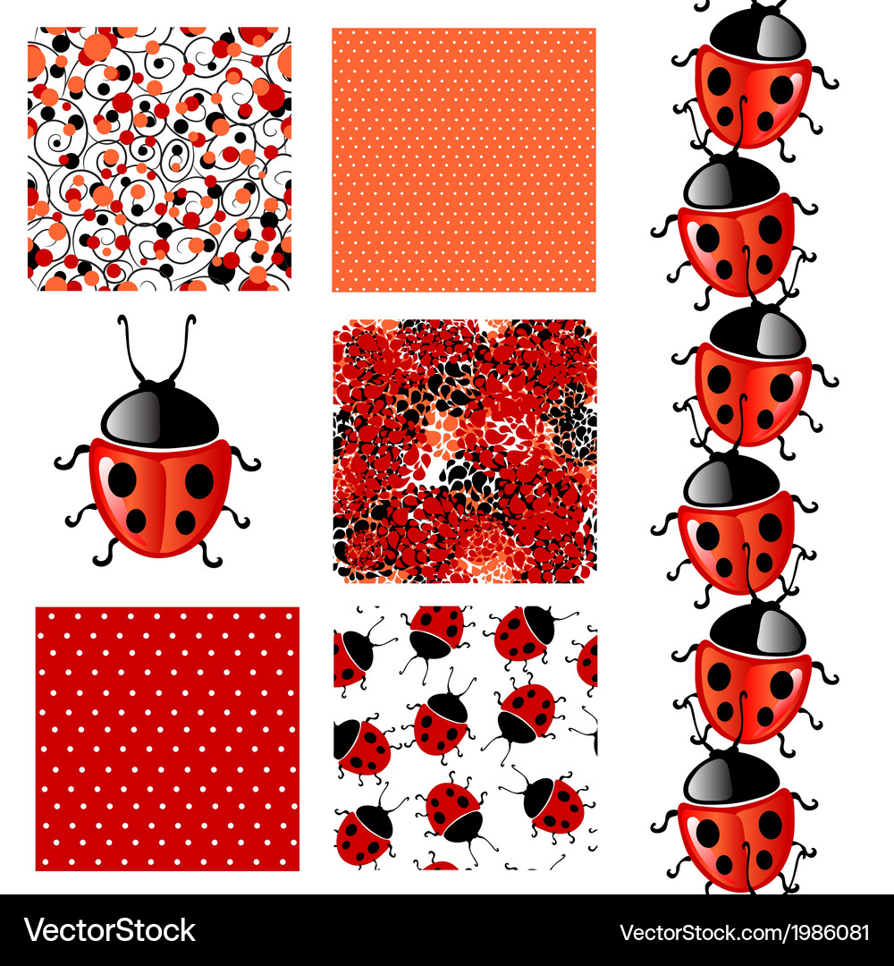 Ladybug Dot Pattern Set Vector Image