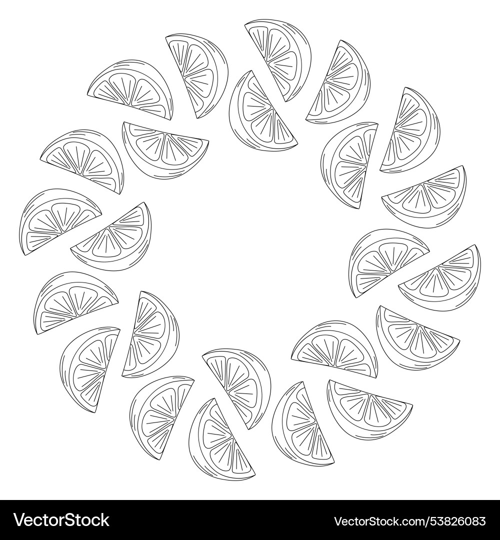 Outline citrus slices abstract round frame border Outline citrus slices abstract round frame border vector image