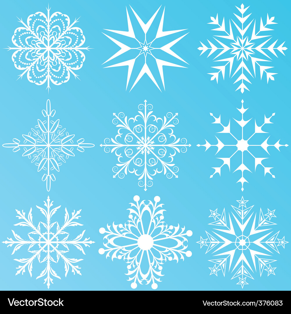 Set variation snowflakes isolated Vector Image