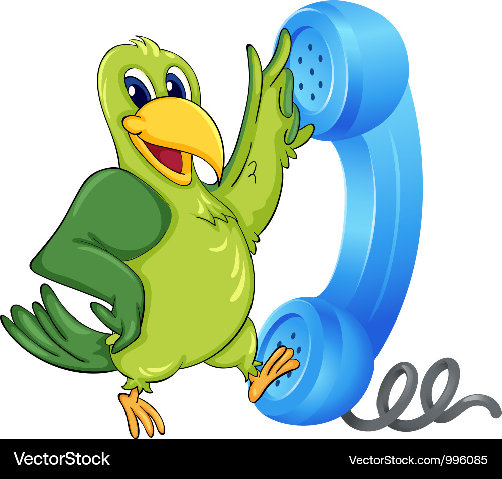 Parrot with Phone vector image