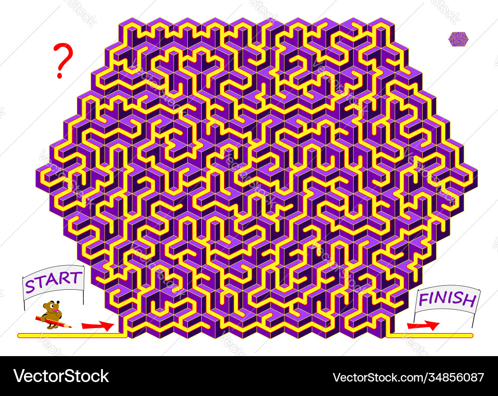 Logical puzzle game with labyrinth for children Logical puzzle game with labyrinth for children vector image