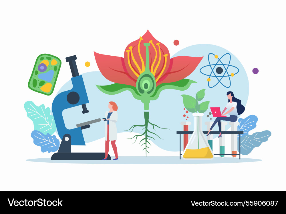 Science lab and school class biology scene Science lab and school class biology scene vector image