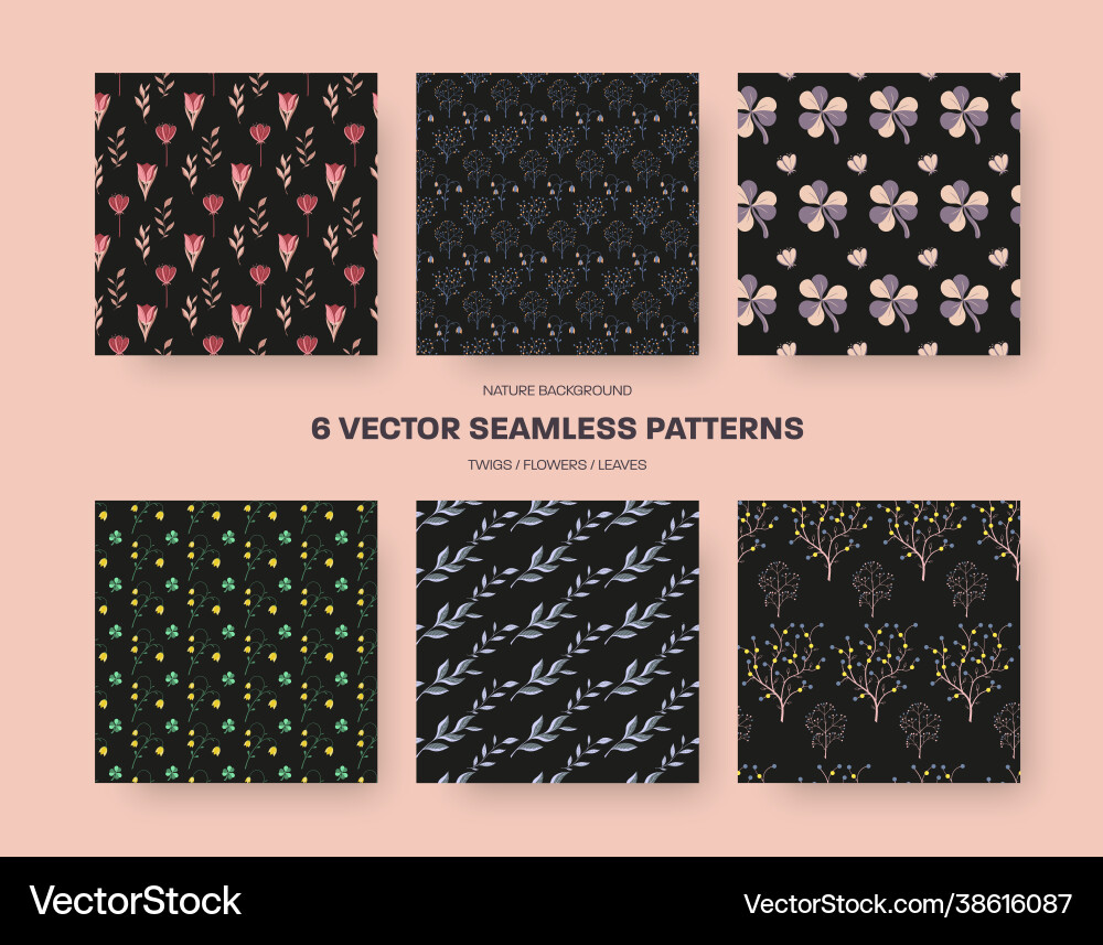 Set botanical seamless patterns on black Set botanical seamless patterns on black vector image
