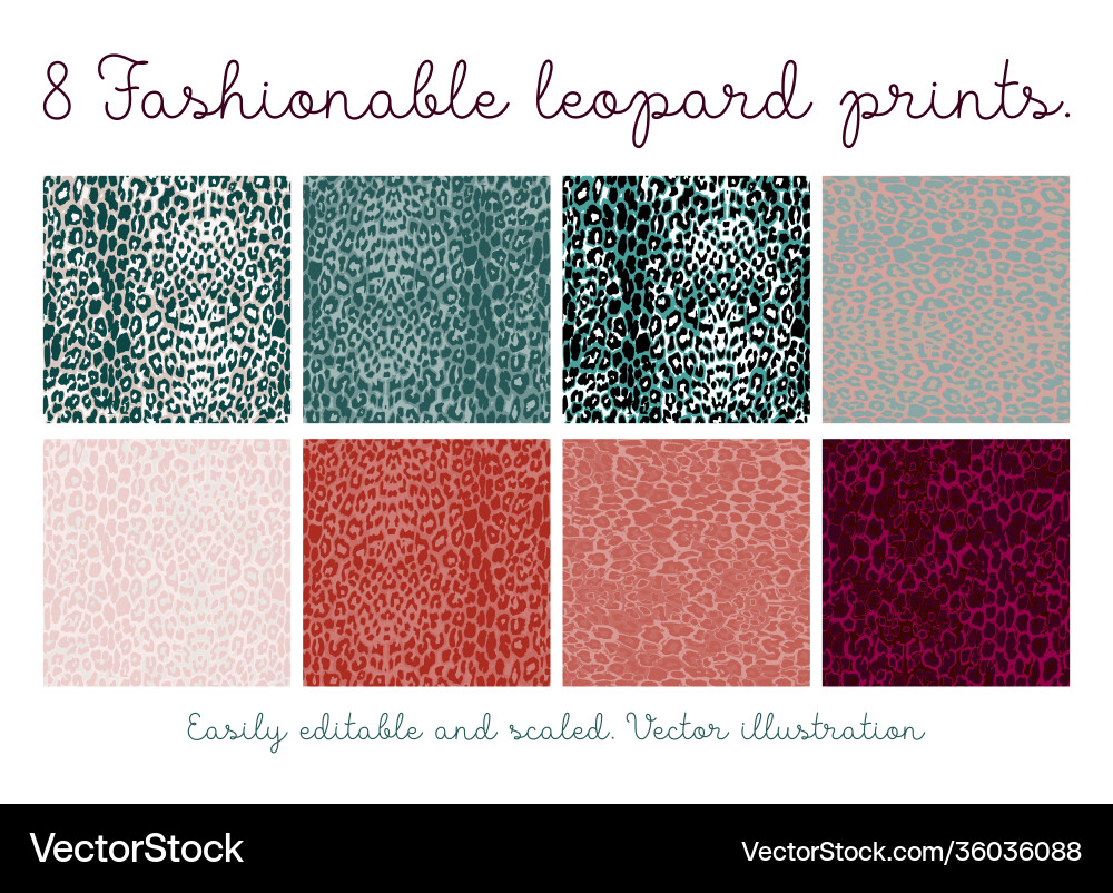 Leopard Pattern Seamless Set vector image