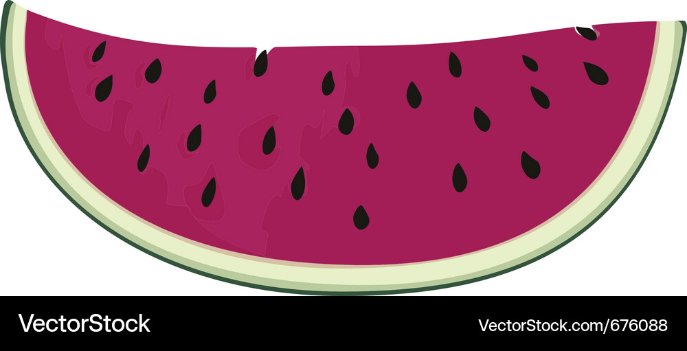 Slice of nice fresh watermelon Vector Image