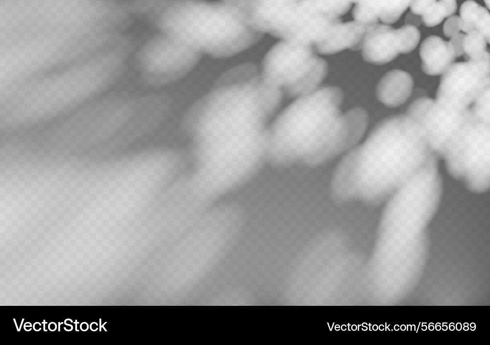 Abstract shadow overlay from tree branch Abstract shadow overlay from tree branch vector image