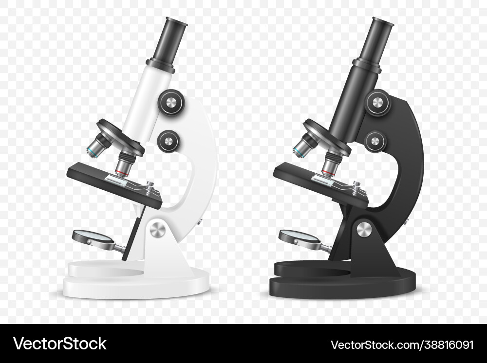 3d realistic white black laboratory 3d realistic white black laboratory vector image