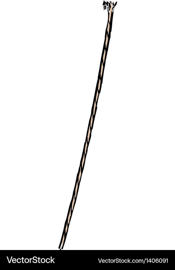 String Vector Image