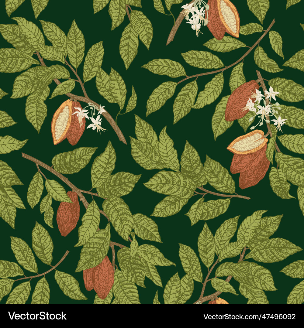 Cocoa Branch Pattern vector image