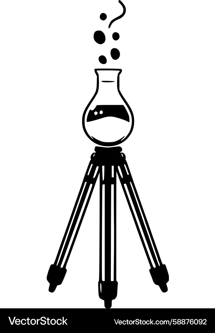 Laboratory Flask with Bubbles Vector Image