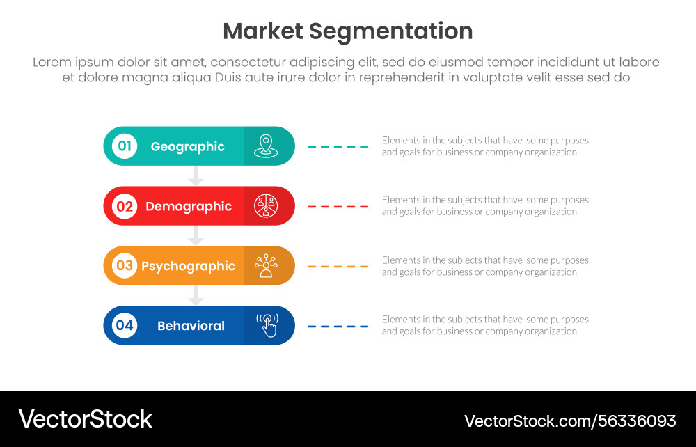 Market segmentation framework analysis vector image
