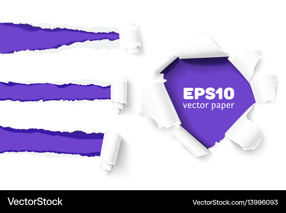 Torn Paper Rips and Holes Royalty Free Vector Image