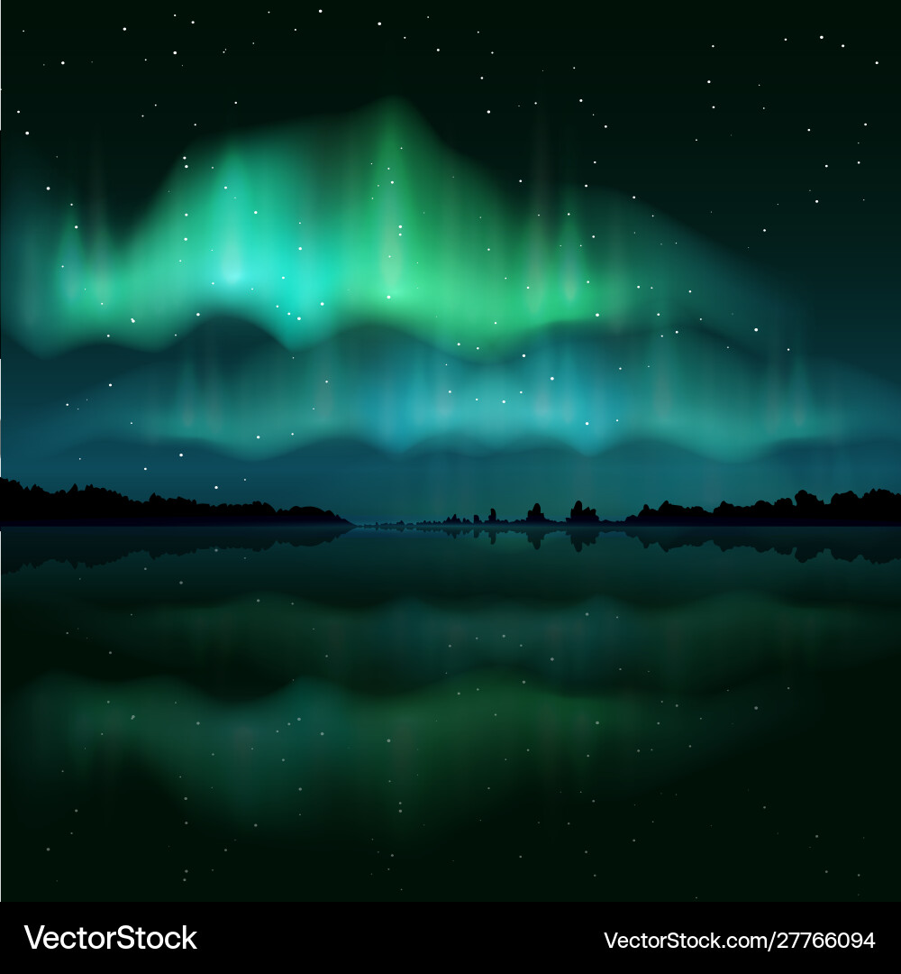 Northern Lights Aurora Borealis Vector Image