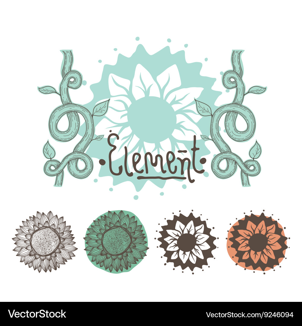 Set of color floral elements flowers branches Vector Image