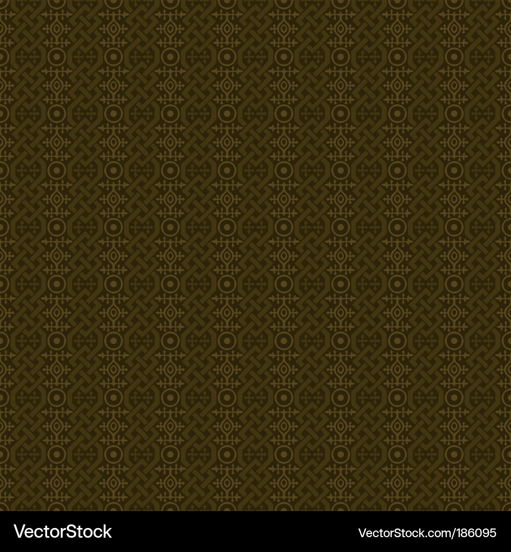 Intricate Celtic Knot Pattern vector image