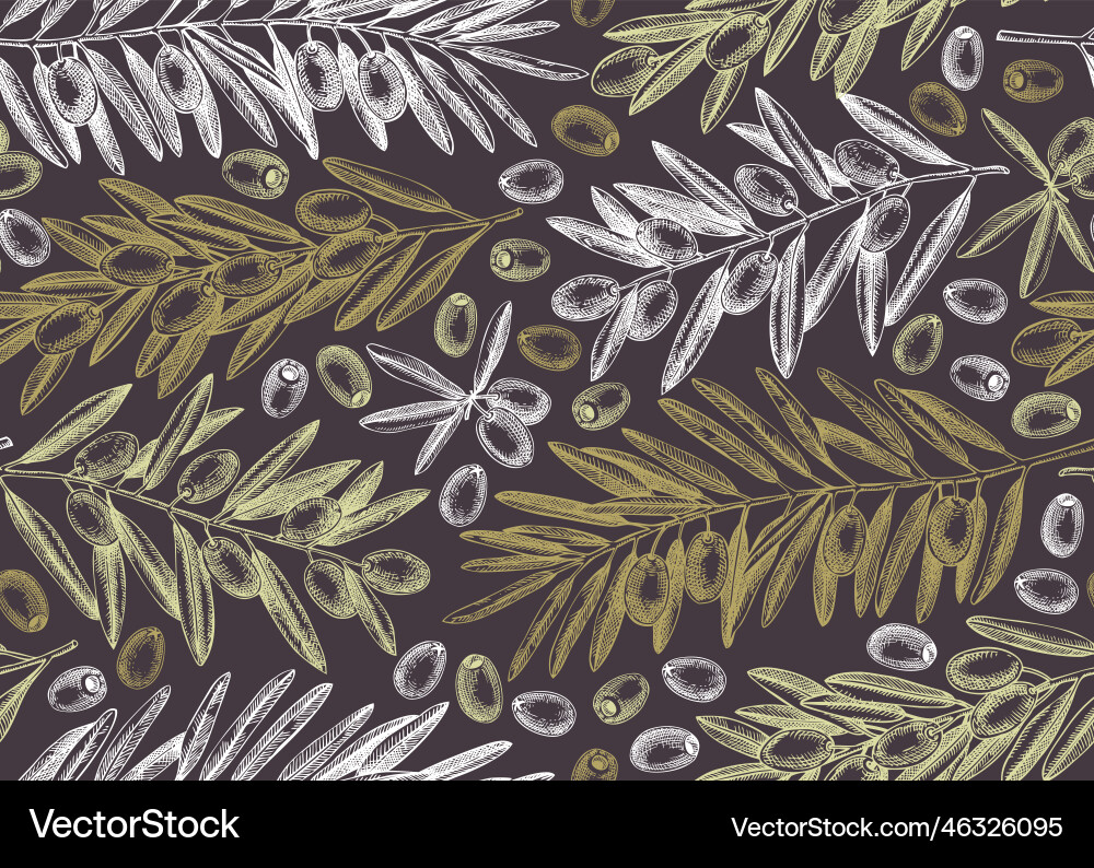 Olive Branch Pattern - Elegant Sketch vector image