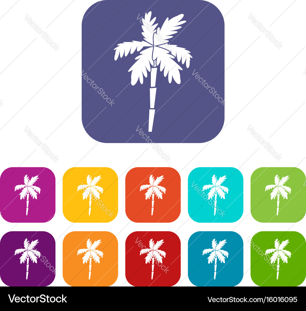 Palm tree icons set Vector Image