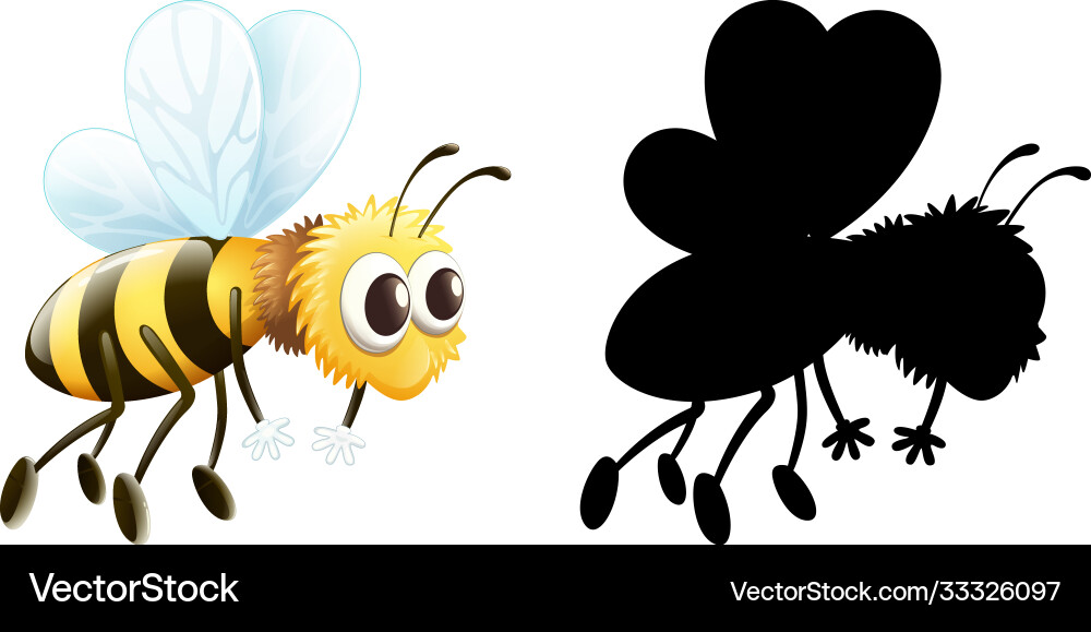 Set insect cartoon character and its Set insect cartoon character and its vector image