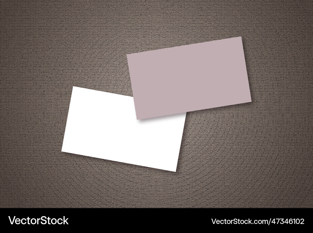 Blank empty visiting card template mock up design vector image