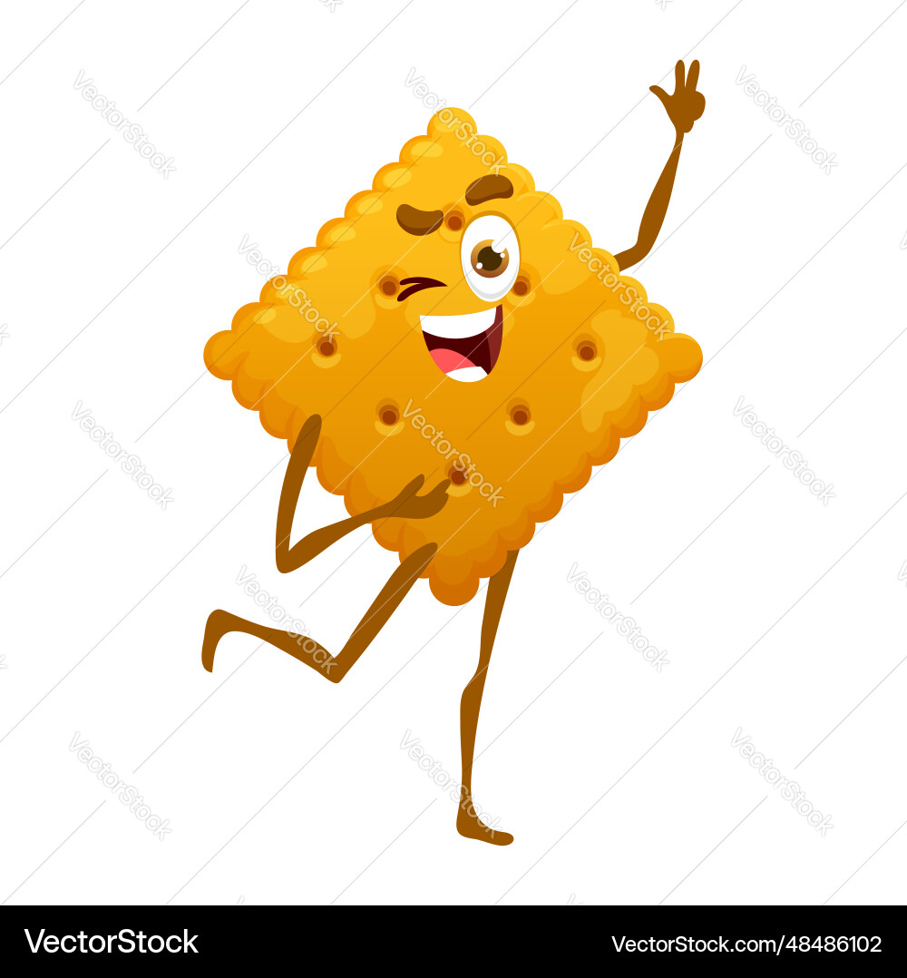 Funny Cracker Character Vector Image