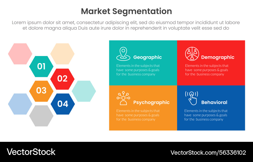 Market segmentation framework analysis Vector Image