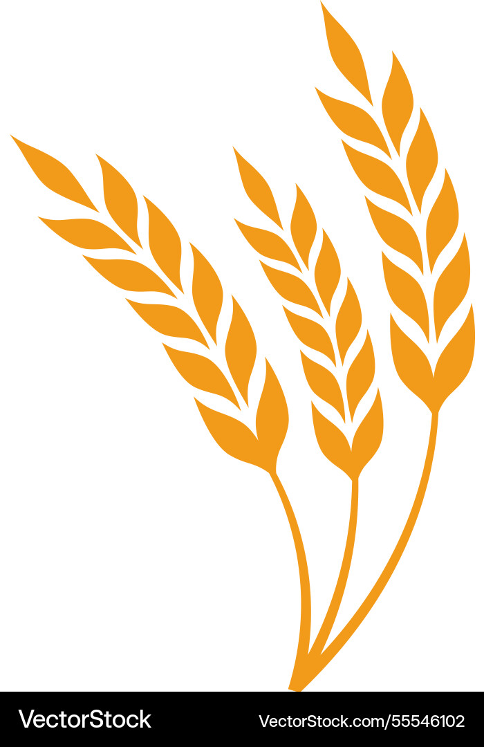 Three stylized wheat stalks creating a simple Three stylized wheat stalks creating a simple vector image