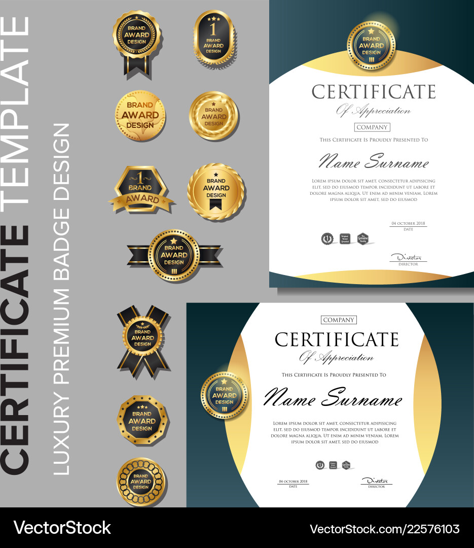 Professional certificate template with badge vector image