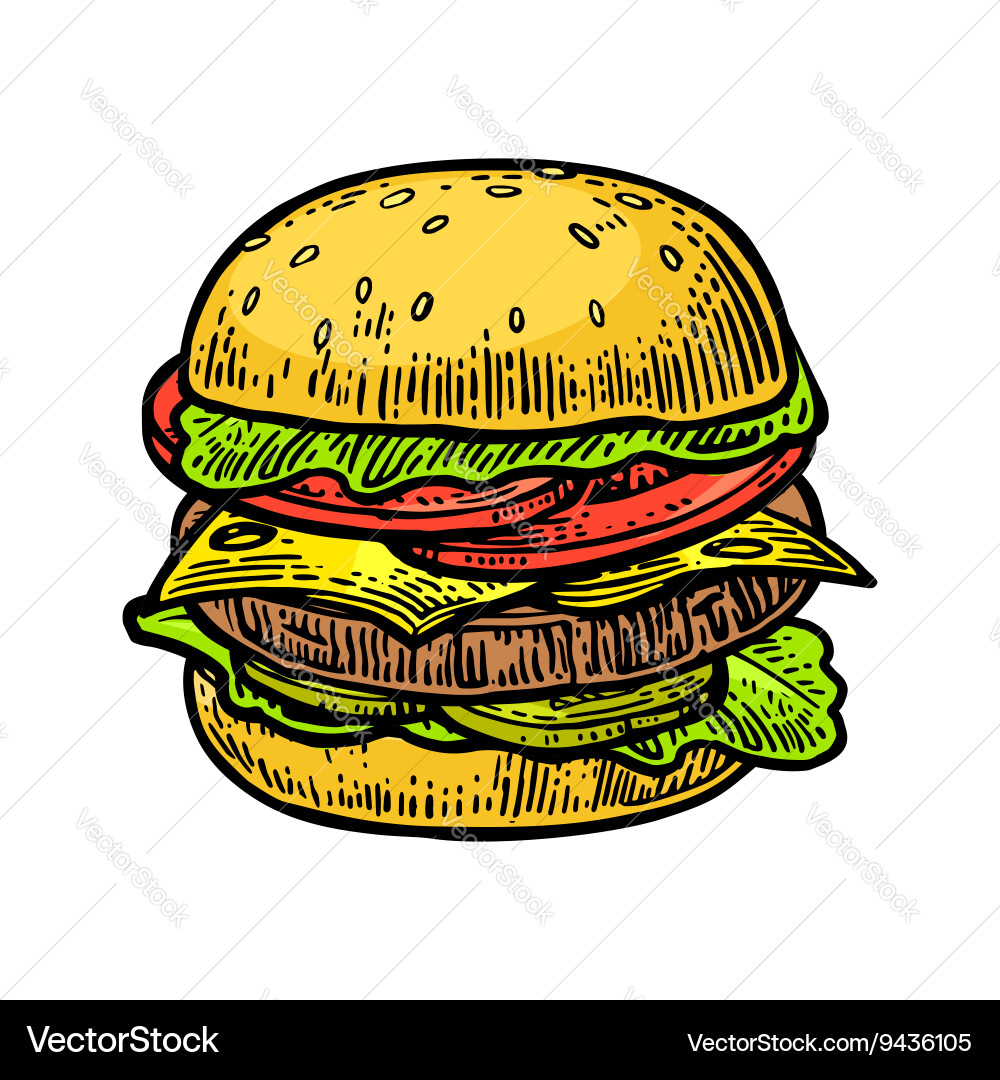 Burger include cutlet tomato cucumber and salad Vector Image