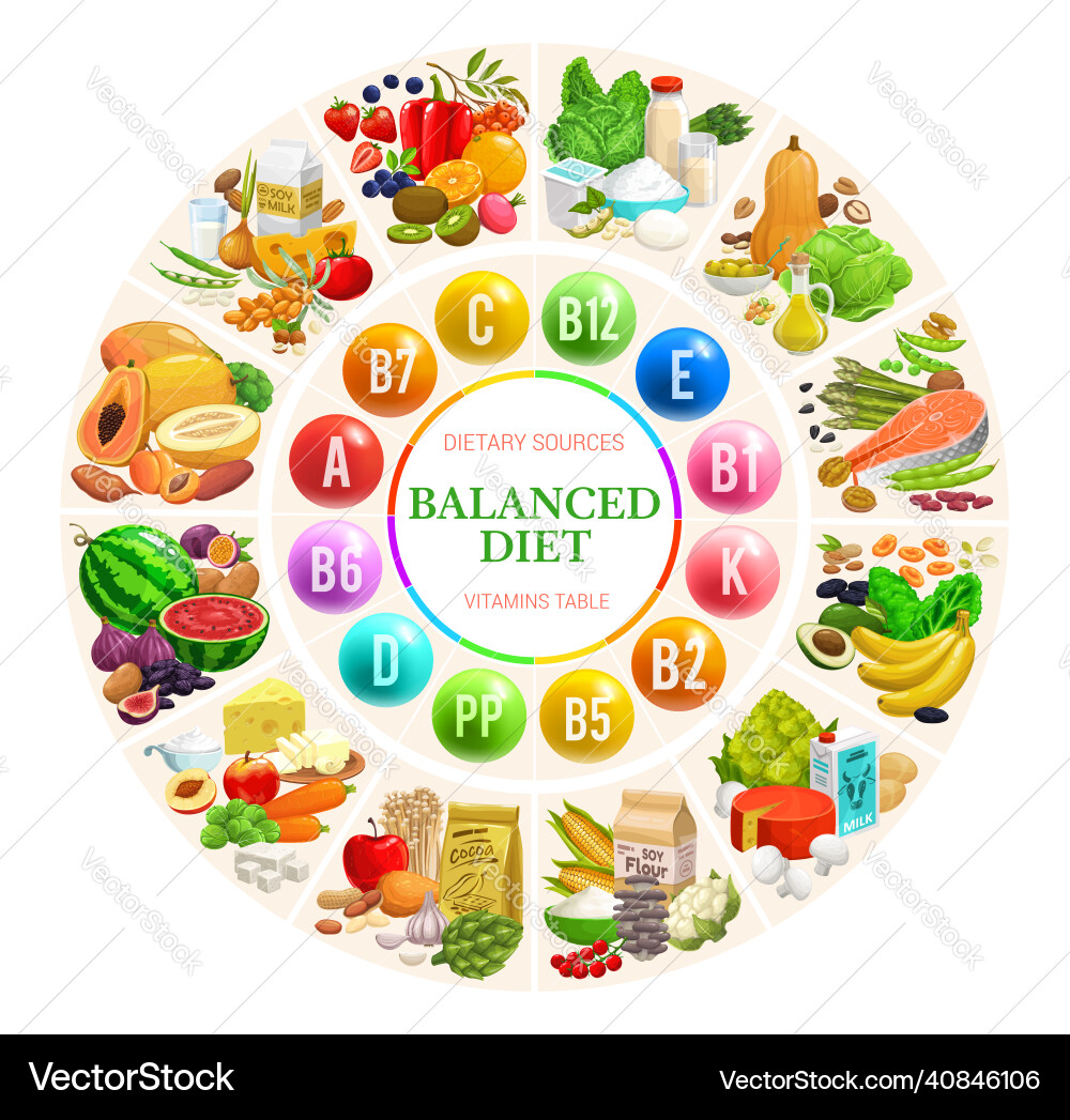 Balanced diet diagram chart vitamins and minerals Balanced diet diagram chart vitamins and minerals vector image