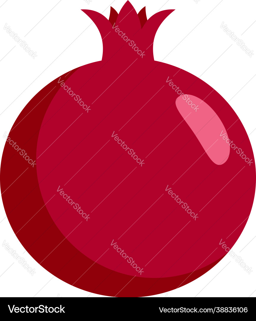 Fresh pomegranate icon flat isolated vector image