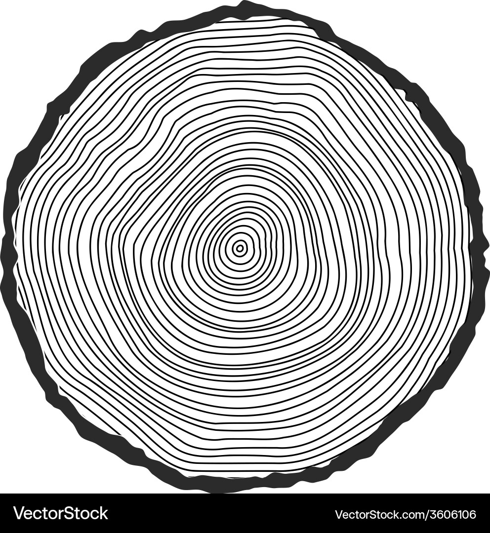 Tree Rings - Circular Growth Pattern vector image