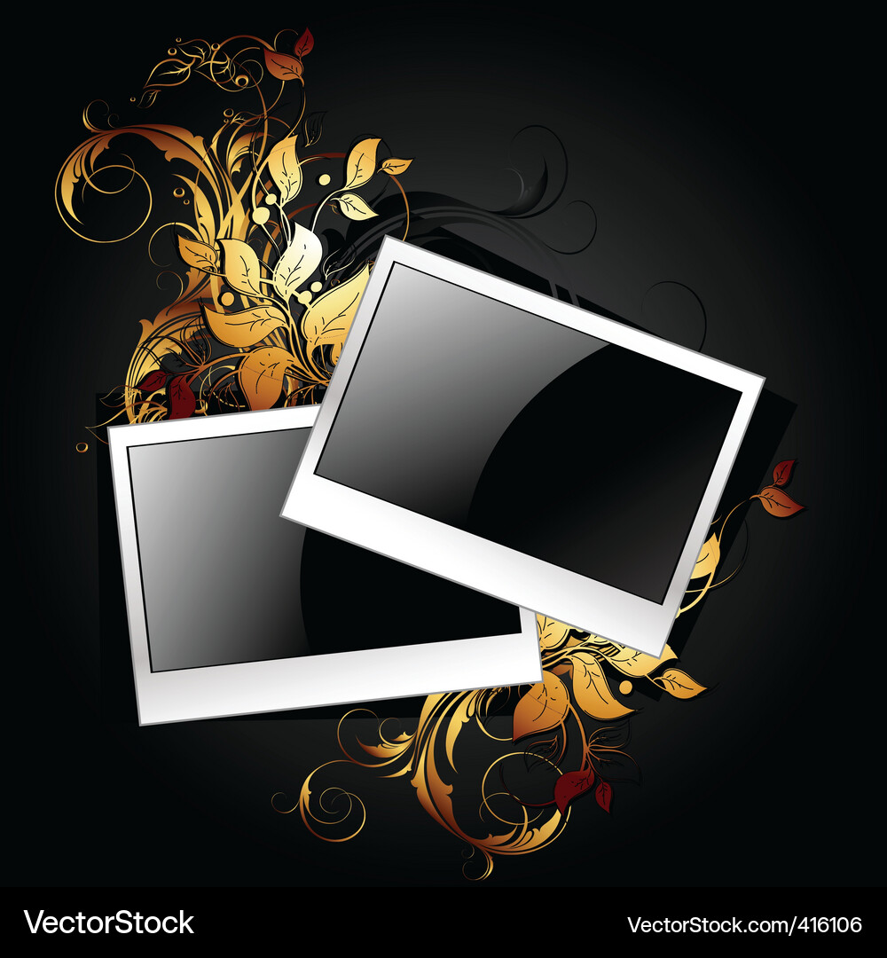 Web icon photo frames Vector Image