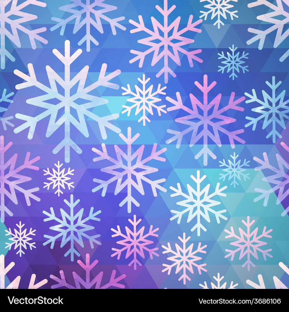 Winter Snowflake Pattern Vector Image