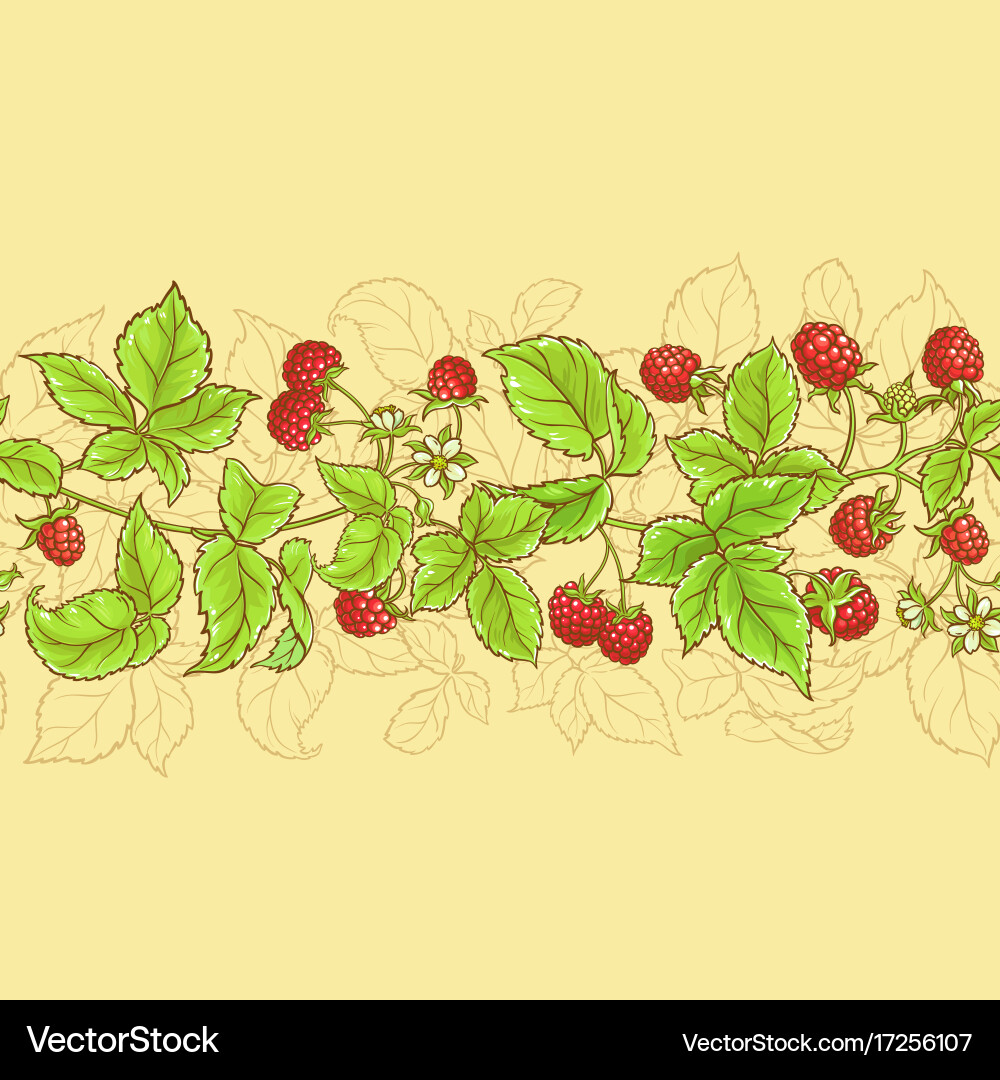 Raspberry Fruit Pattern vector image