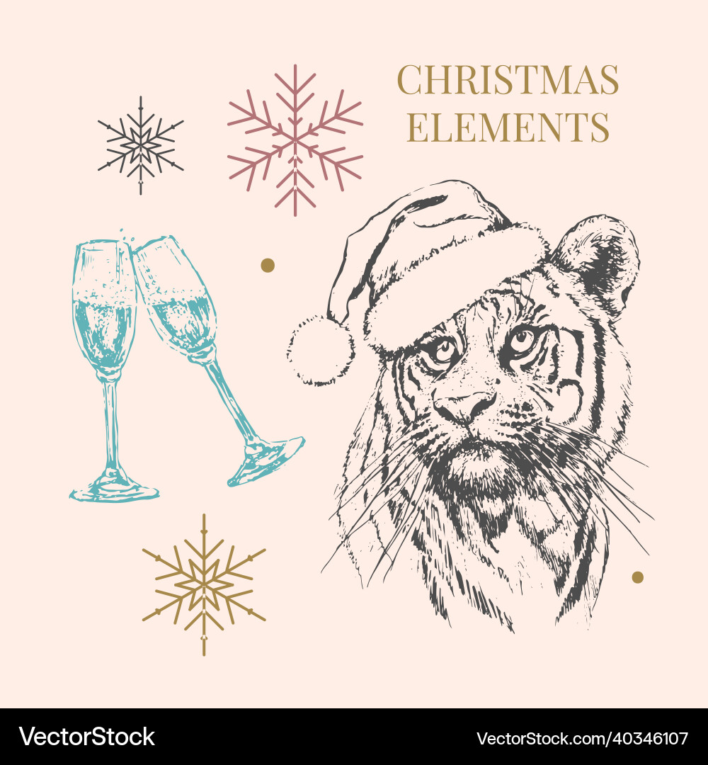 Tiger in christmas hat print on a postcard Tiger in christmas hat print on a postcard vector image