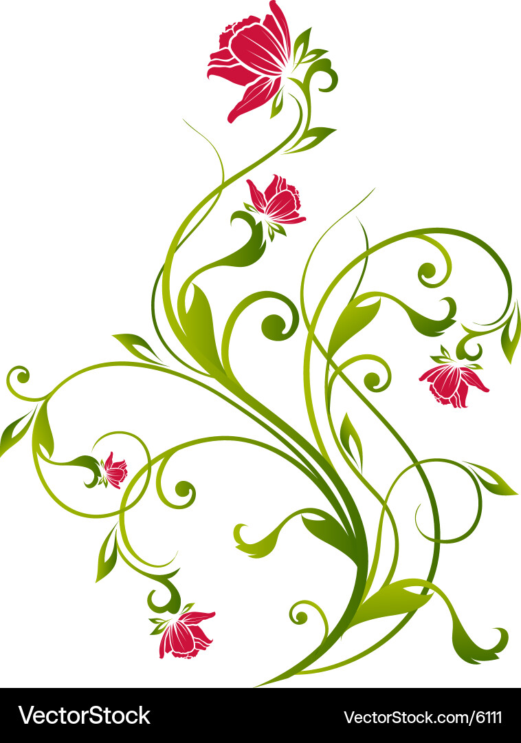 Floral vine graphic Royalty Free Vector Image - VectorStock