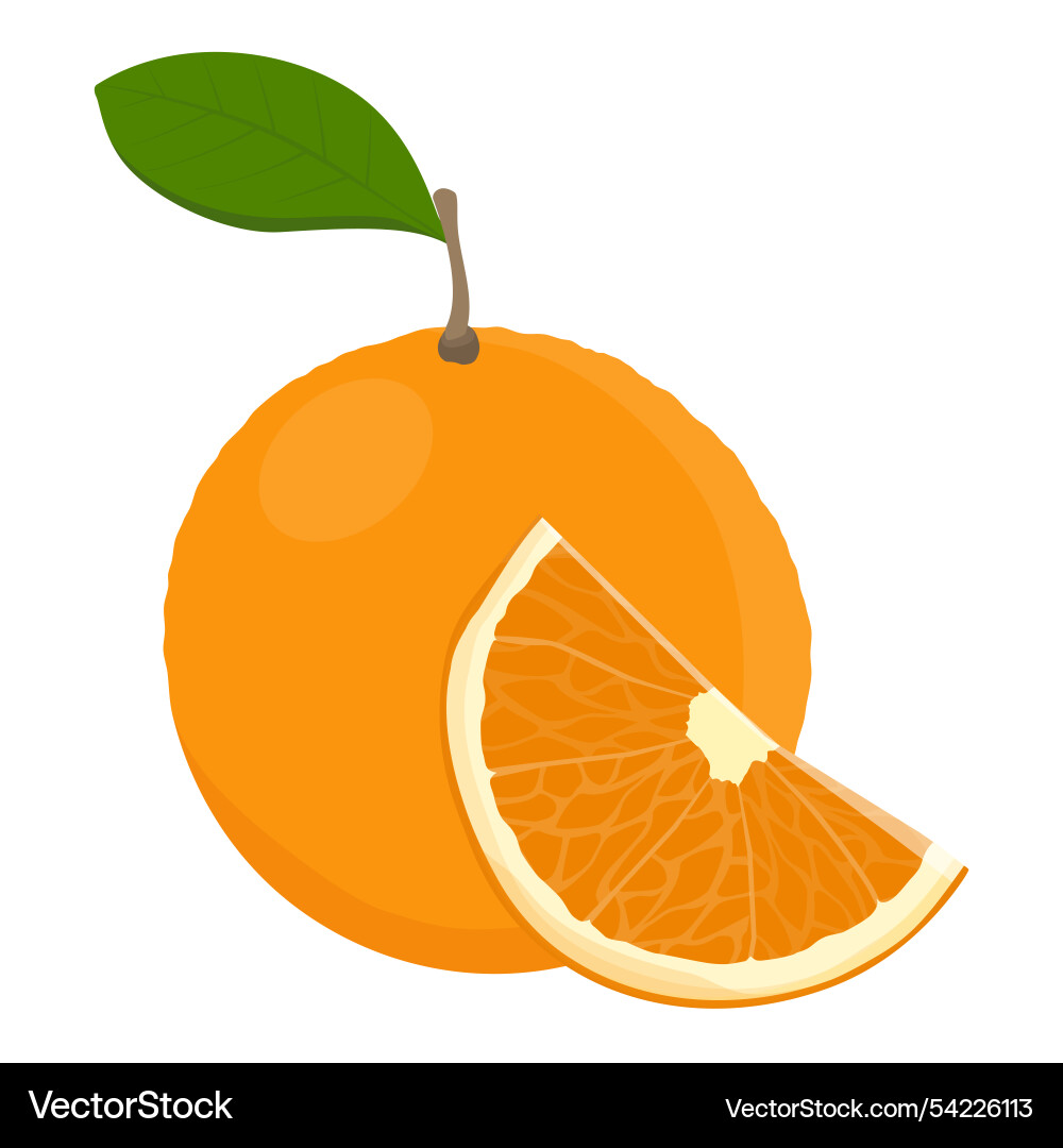 Orange fruit with leaf and slice Royalty Free Vector Image