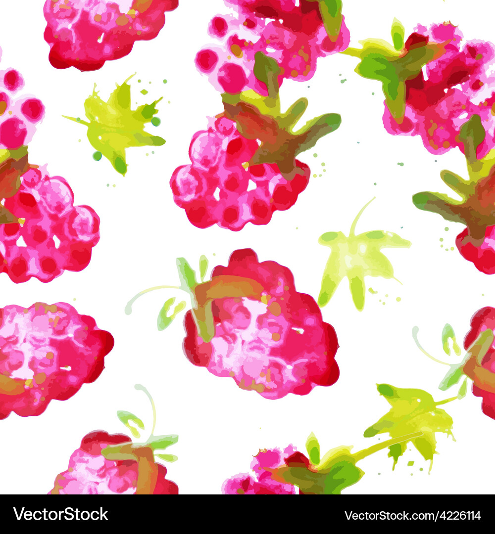 Watercolor Raspberry Pattern Vector Image