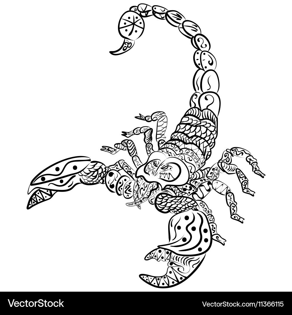 Zentangle Scorpion Art Vector Image